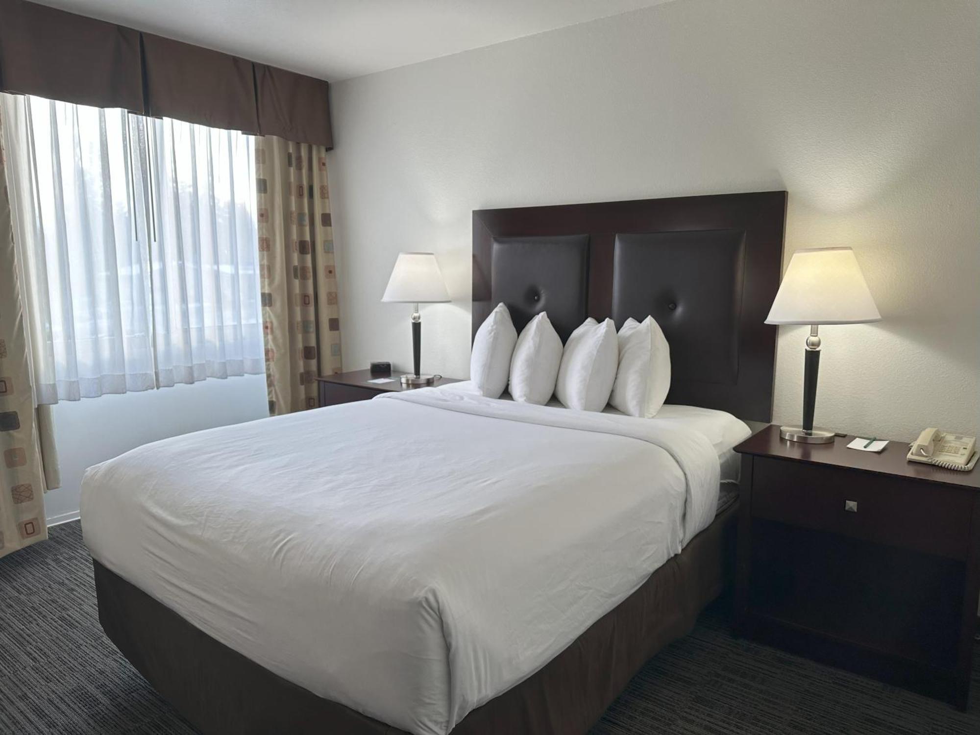 Quality Inn & Suites Everett Esterno foto